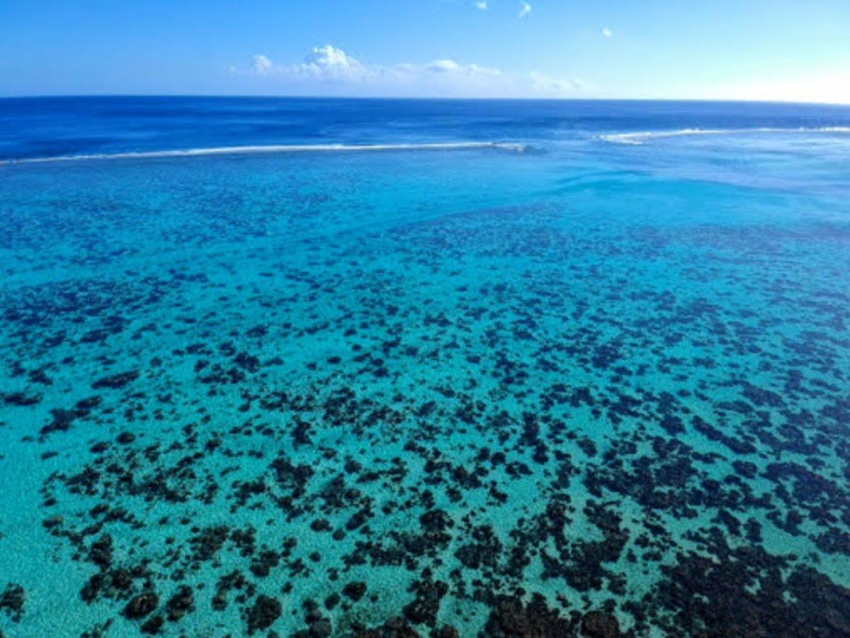 Moorea - Fare Taina Nui Haapiti Dış mekan fotoğraf