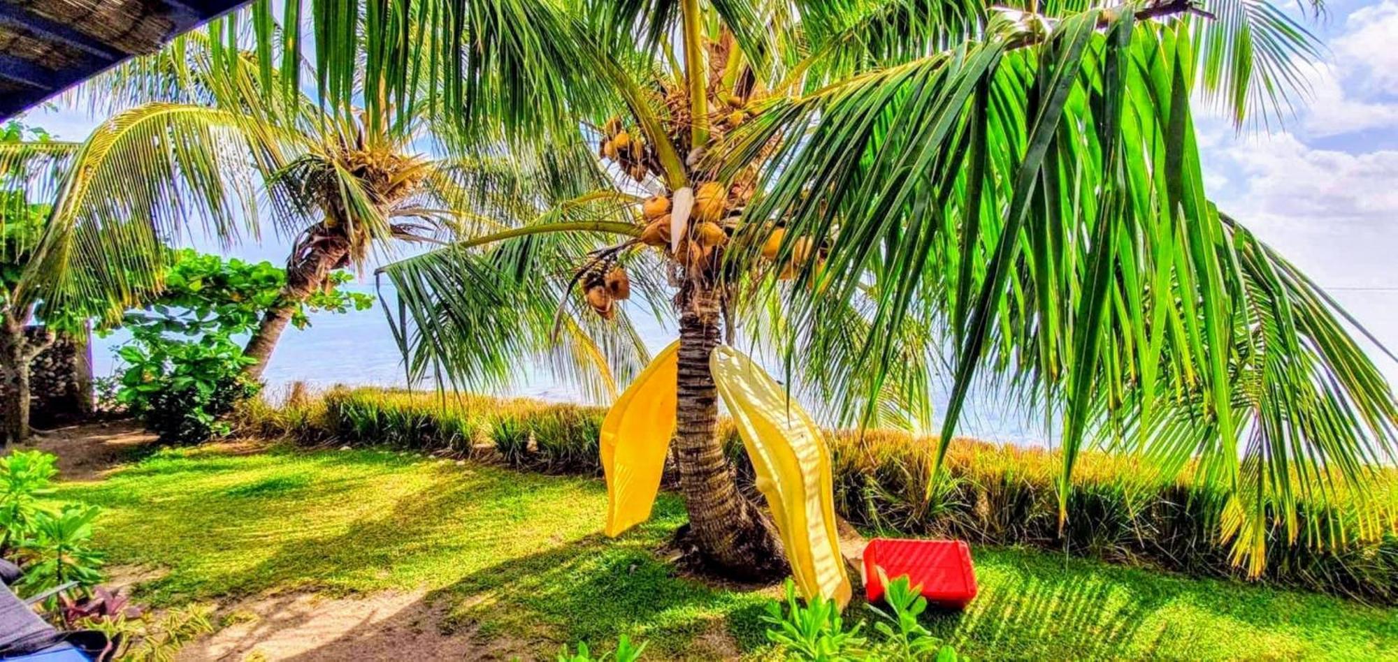 Moorea - Fare Taina Nui Haapiti Dış mekan fotoğraf